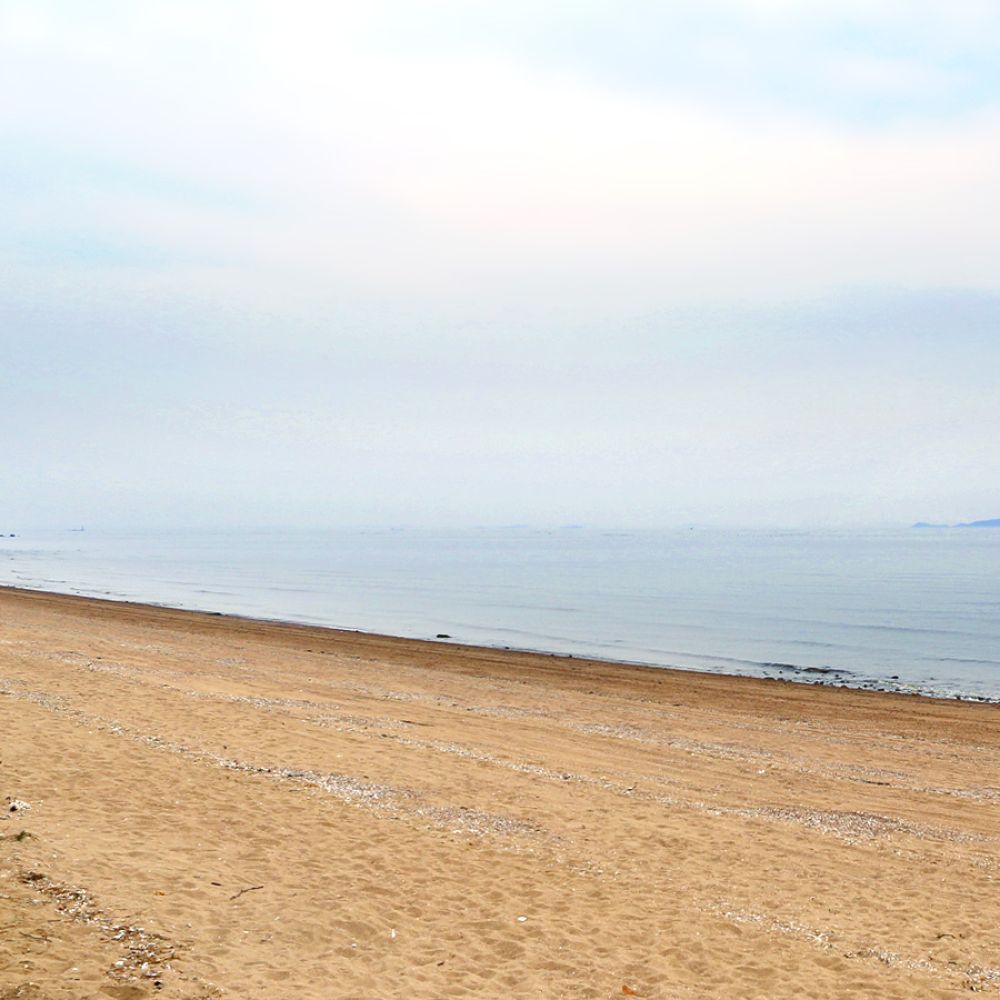주변전경